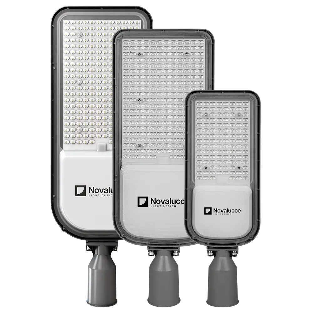 NOVALUCCE AP - ALTO RENDIMIENTO